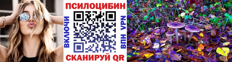 Псилоцибиновые грибы мицелий  цены наркотик  мега как войти  Абинск 